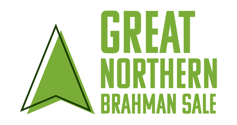 GREAT_NORTHERN_BRAHMAN_SALE_LG_GREEN_@1X